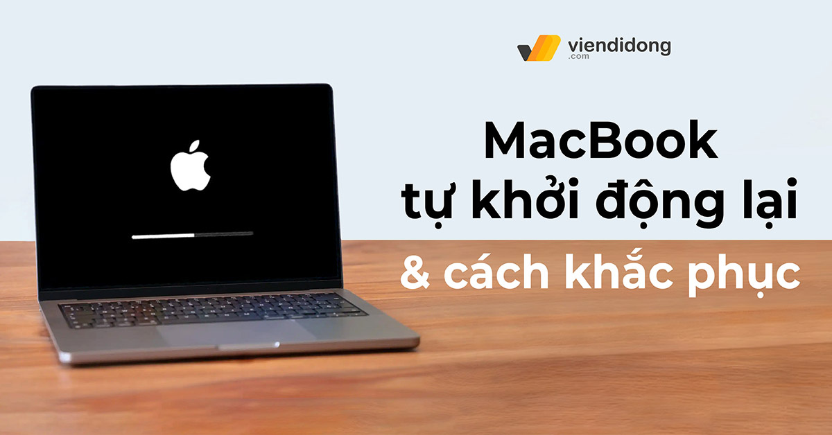 Vì sao MacBook tự khởi động lại thường xuyên và cách khắc phục tình trạng này